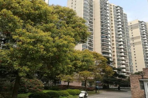 虹葉花苑優(yōu)點 不足,虹葉花苑怎么樣,虹葉花苑周邊房產(chǎn)中介經(jīng)紀(jì)人評價