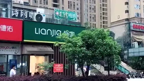 所以說開店位置很重要,你看這五家房產(chǎn)中介,養(yǎng)活旁邊一家的復印店