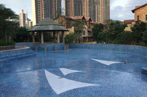 實(shí)地常春藤優(yōu)點(diǎn) 不足,實(shí)地常春藤怎么樣,實(shí)地常春藤周邊房產(chǎn)中介經(jīng)紀(jì)人評(píng)價(jià) 惠州安居客