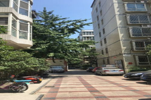 優(yōu)勝花園優(yōu)點(diǎn) 不足,優(yōu)勝花園怎么樣,優(yōu)勝花園周邊房產(chǎn)中介經(jīng)紀(jì)人評價(jià) 鄭州安居客