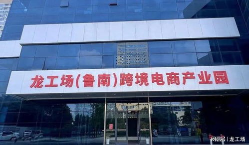 數(shù)字貿(mào)易產(chǎn)業(yè)服務(wù)助力 棗莊龍工場日用品出口業(yè)務(wù)訂單實現(xiàn)交付