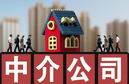 全國首創(chuàng)全面取消房產(chǎn)中介服務(wù),你怎么看