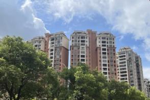 中字頭集體大漲,中南股份、中國鐵建漲停,央企回報ETF(561960)漲3.75%