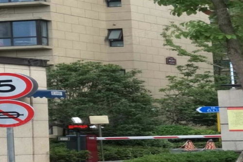 大華朗香花園優(yōu)點 不足,大華朗香花園怎么樣,大華朗香花園周邊房產中介經紀人評價