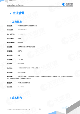 中山市雅佳房地產(chǎn)中介服務(wù)企業(yè)信用報(bào)告-天眼查