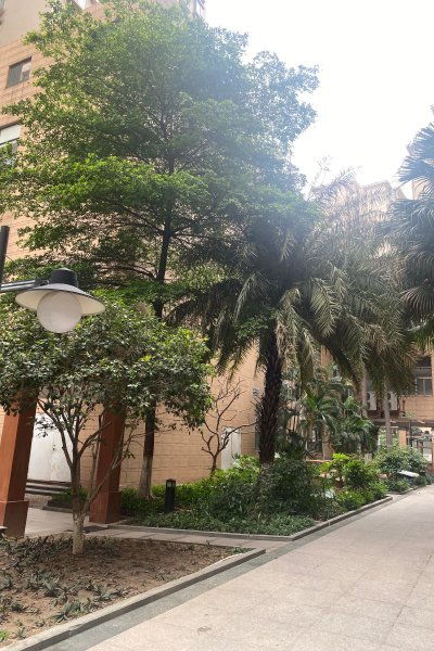 金河水岸一區(qū)優(yōu)點 不足,金河水岸一區(qū)怎么樣,金河水岸一區(qū)周邊房產中介經紀人評價 佛山安居客