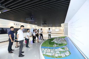 賽事服務多元化